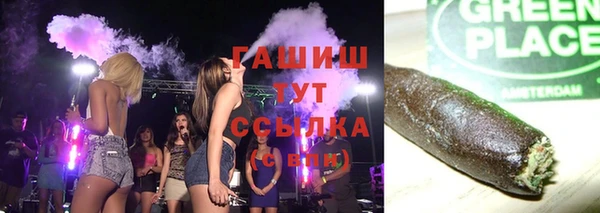 шишки Няндома