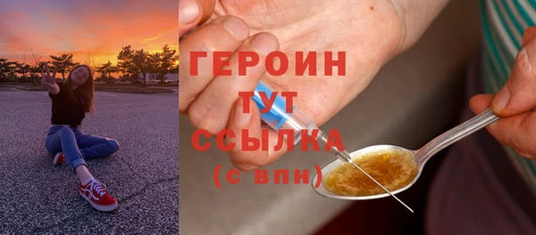 шишки Няндома