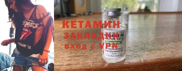 шишки Няндома