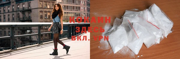 шишки Няндома