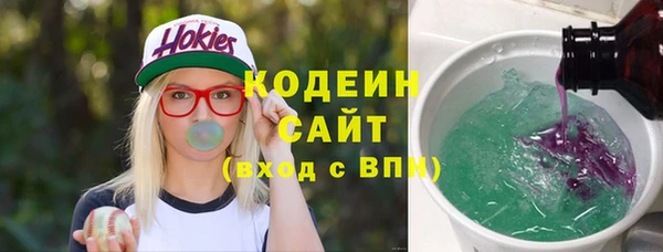 шишки Няндома