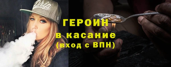 шишки Няндома