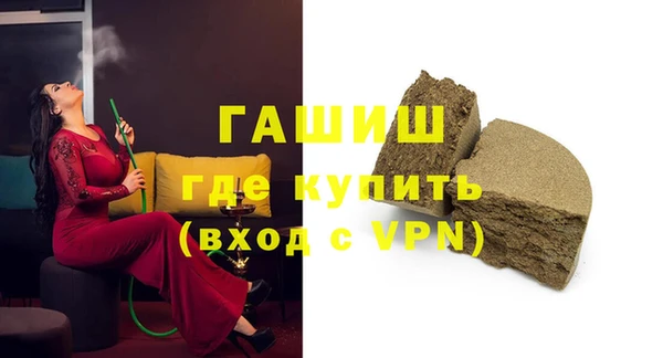 шишки Няндома