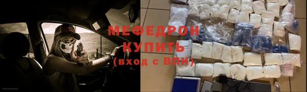 шишки Няндома