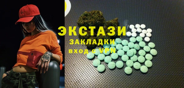 шишки Няндома