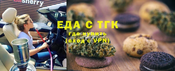 шишки Няндома