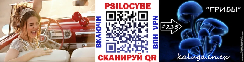 Псилоцибиновые грибы Psilocybe  Орехово-Зуево 